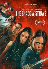 The Shadow Strays (2024) นักฆ่าเงาล่าทรชน มือสังหารสาว